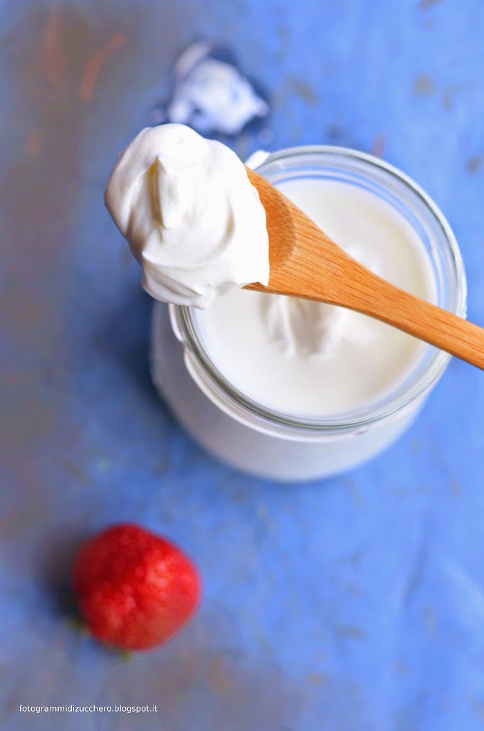 Yogurt fatto in casa (senza yogurtiera) · Frames of sugar